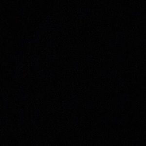 Meet your Posher, Benjamin